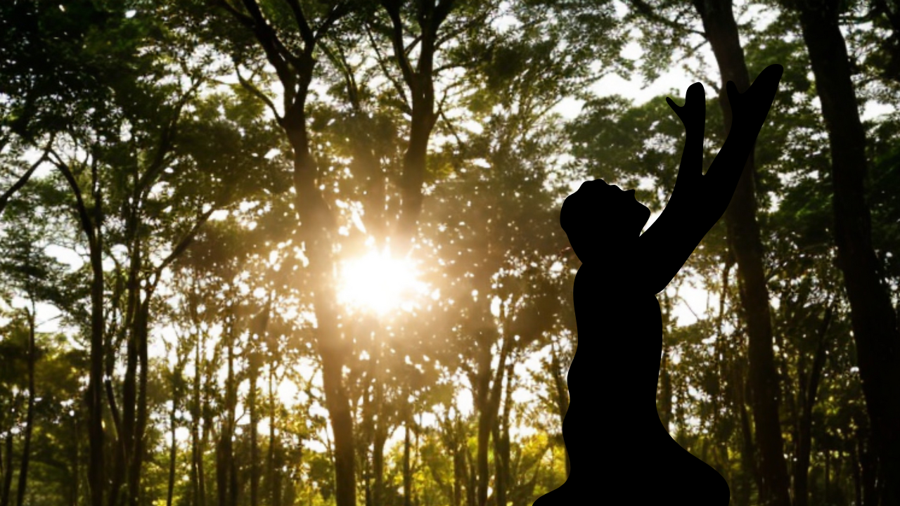 oração de gratidão