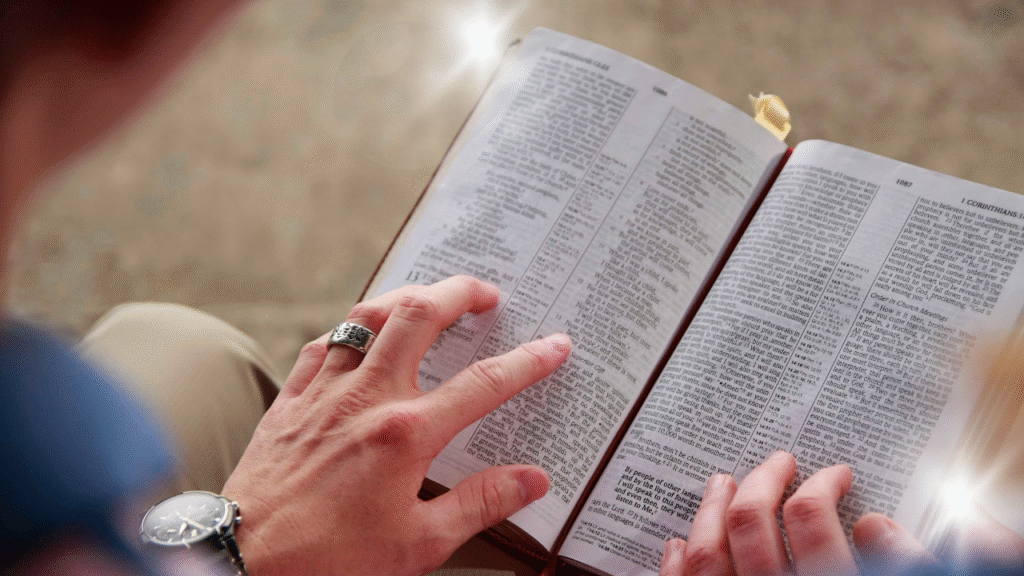 lendo a bíbliaa