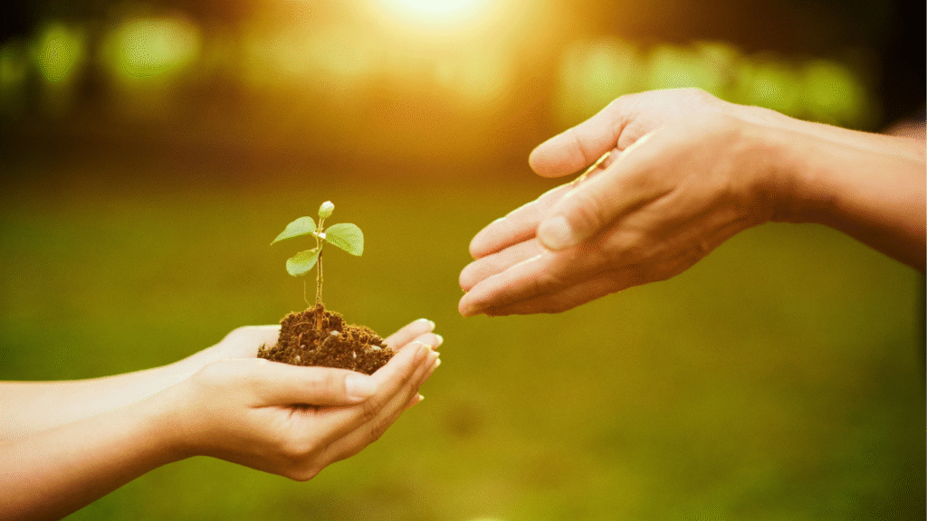 paisagem de esperança