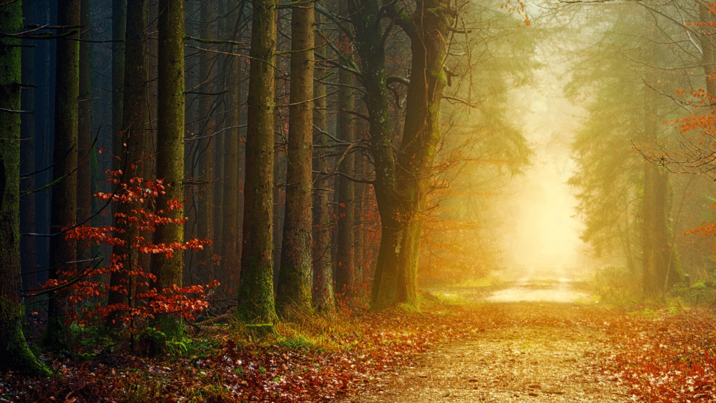 caminho costante com deus